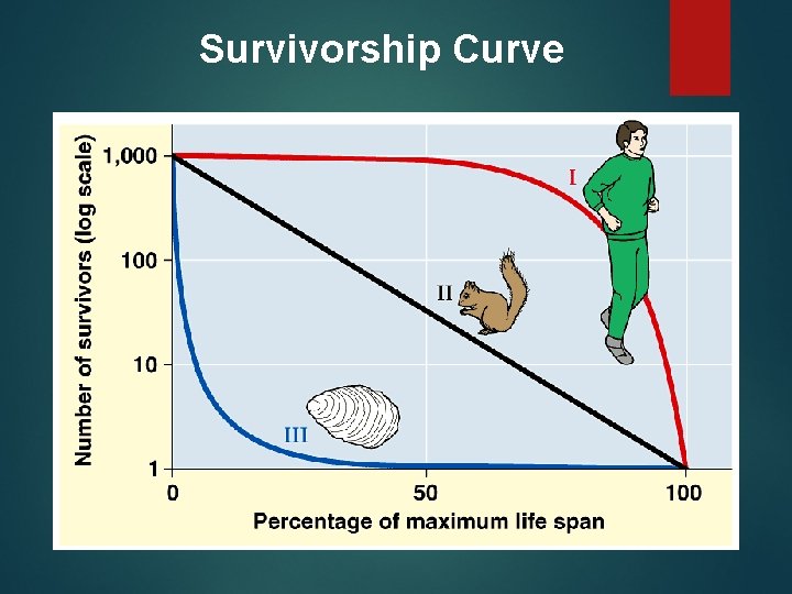 Survivorship Curve 