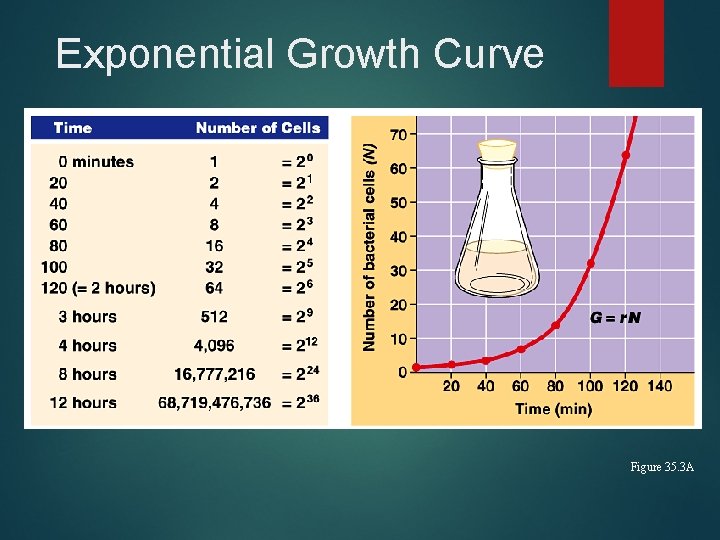 Exponential Growth Curve Figure 35. 3 A 