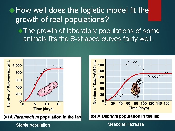  How well does the logistic model fit the growth of real populations? The