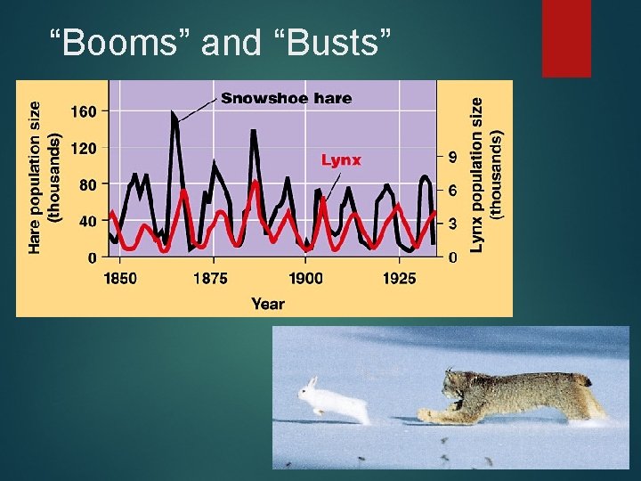 “Booms” and “Busts” 