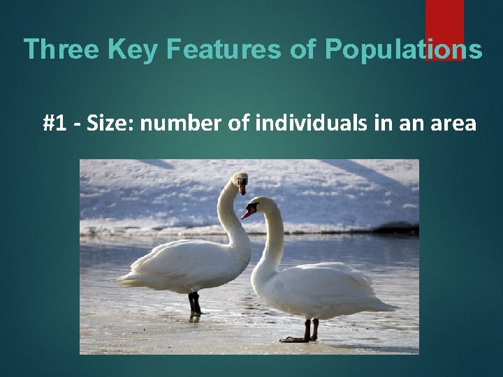 Three Key Features of Populations #1 - Size: number of individuals in an area