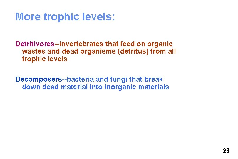 More trophic levels: Detritivores--invertebrates that feed on organic wastes and dead organisms (detritus) from More trophic levels: Detritivores--invertebrates that feed on organic wastes and dead organisms (detritus) from