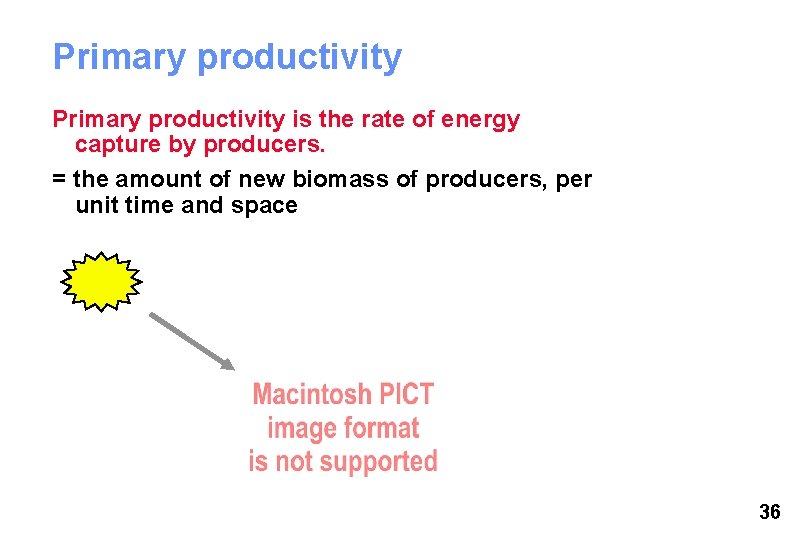 Primary productivity is the rate of energy capture by producers. = the amount of Primary productivity is the rate of energy capture by producers. = the amount of