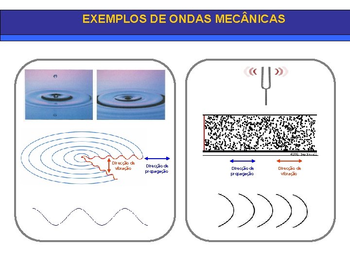 EXEMPLOS DE ONDAS MEC NICAS Direcção de vibração Direcção de propagação Direcção de vibração