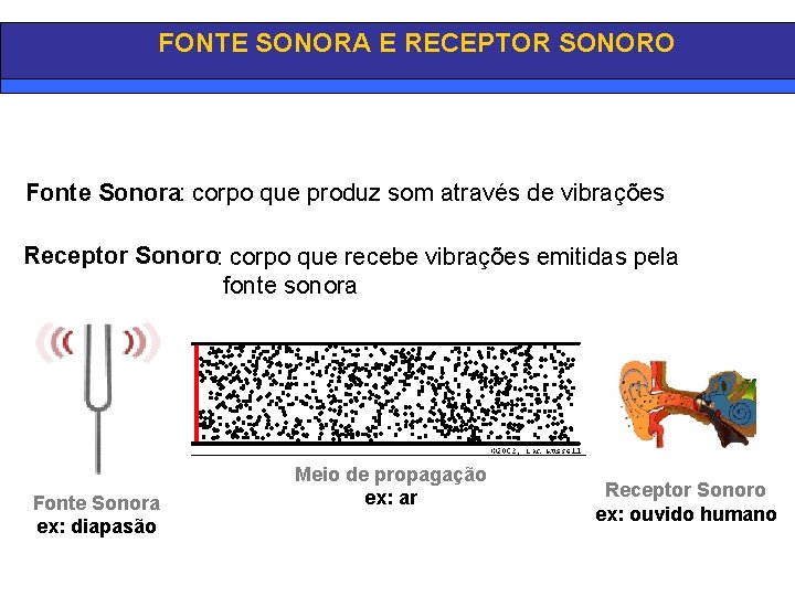 FONTE SONORA E RECEPTOR SONORO Fonte Sonora: corpo que produz som através de vibrações