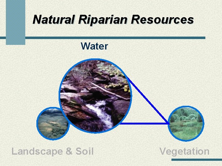 Natural Riparian Resources Water Landscape & Soil Vegetation 