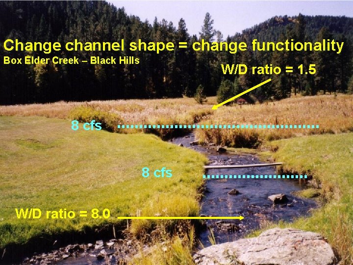 Change channel shape = change functionality Box Elder Creek – Black Hills W/D ratio