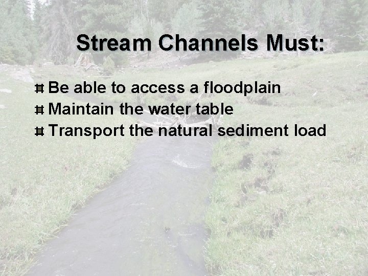 Stream Channels Must: Be able to access a floodplain Maintain the water table Transport