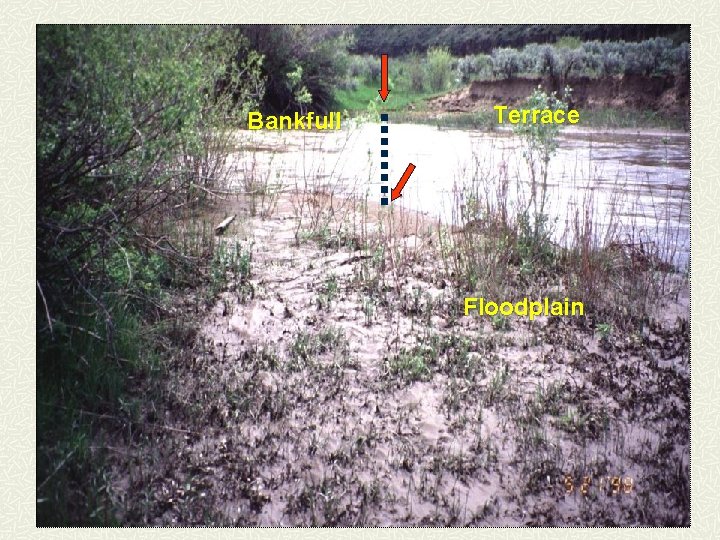 Bankfull Terrace Floodplain 