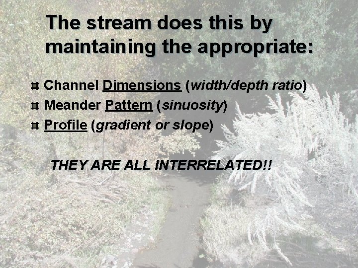 The stream does this by maintaining the appropriate: Channel Dimensions (width/depth ratio) Meander Pattern