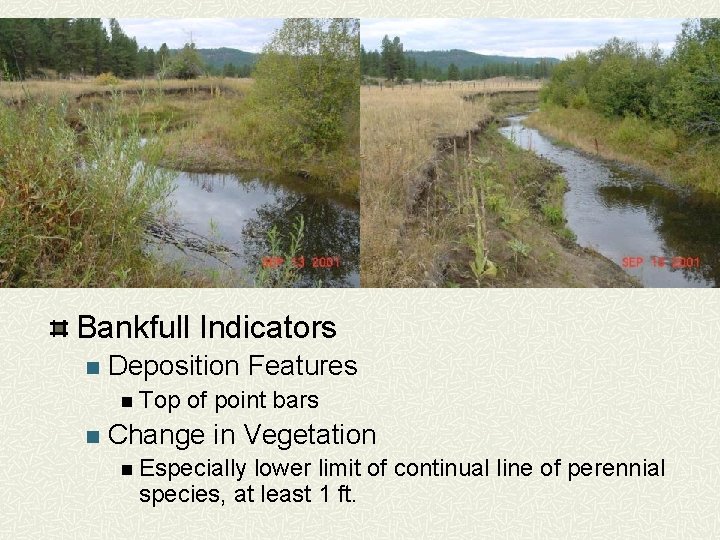 Bankfull Indicators n Deposition Features n Top n of point bars Change in Vegetation