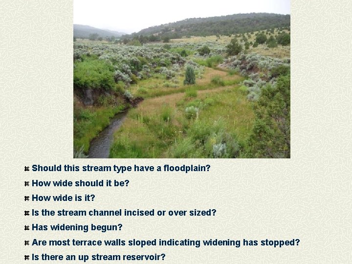 Should this stream type have a floodplain? How wide should it be? How wide