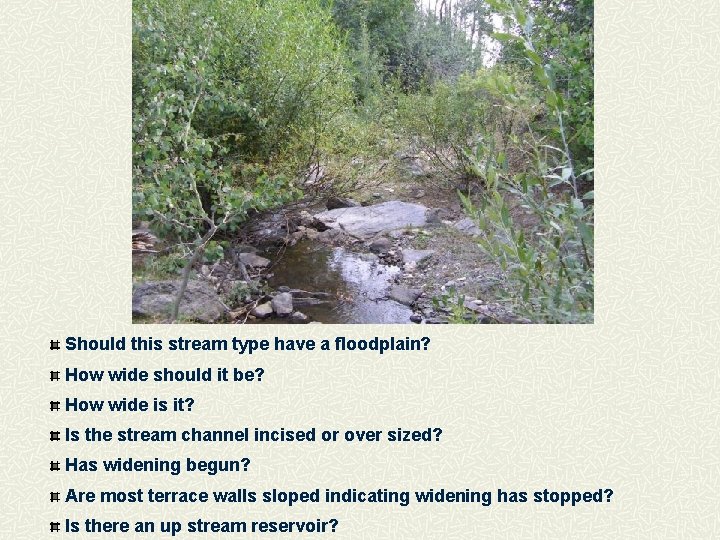 Should this stream type have a floodplain? How wide should it be? How wide