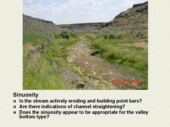 Sinuosity Is the stream actively eroding and building point bars? Are there indications of