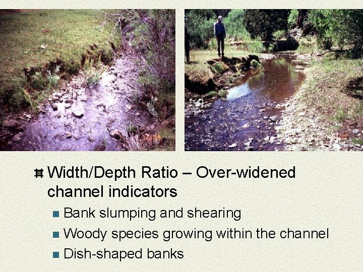 Width/Depth Ratio – Over-widened channel indicators Bank slumping and shearing n Woody species growing
