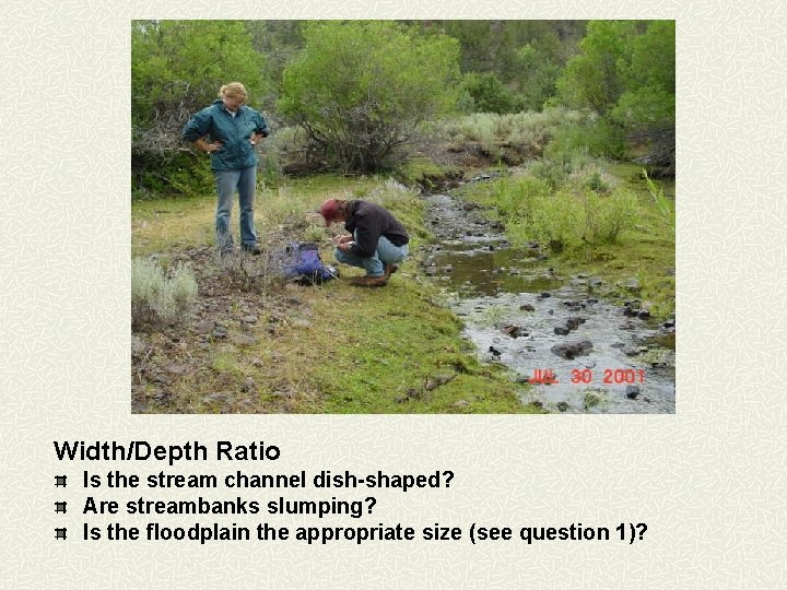 Width/Depth Ratio Is the stream channel dish-shaped? Are streambanks slumping? Is the floodplain the