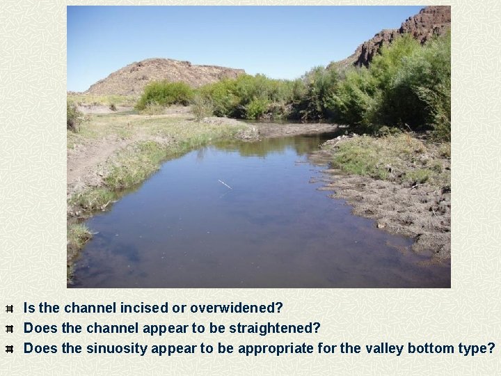 Is the channel incised or overwidened? Does the channel appear to be straightened? Does