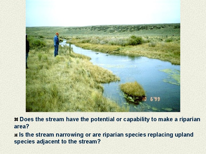 Does the stream have the potential or capability to make a riparian area? Is