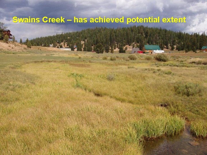 Swains Creek – has achieved potential extent 