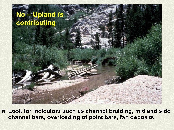 No – Upland is contributing Look for indicators such as channel braiding, mid and