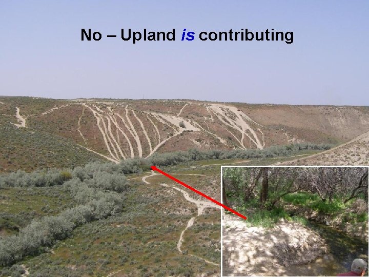 No – Upland is contributing 