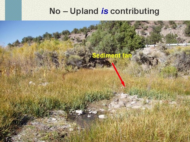 No – Upland is contributing Sediment fan 