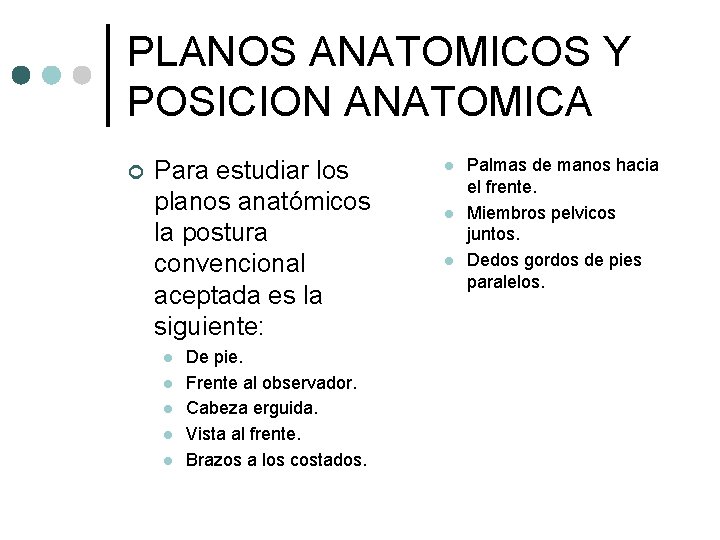 PLANOS ANATOMICOS Y POSICION ANATOMICA ¢ Para estudiar los planos anatómicos la postura convencional