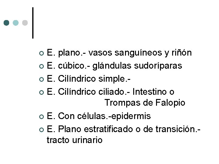 E. plano. - vasos sanguíneos y riñón ¢ E. cúbico. - glándulas sudoríparas ¢