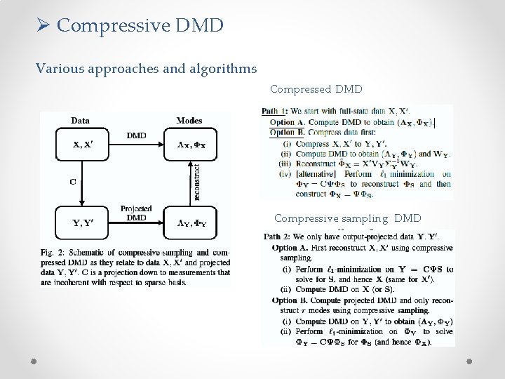 Ø Compressive DMD Various approaches and algorithms Compressed DMD Compressive sampling DMD 