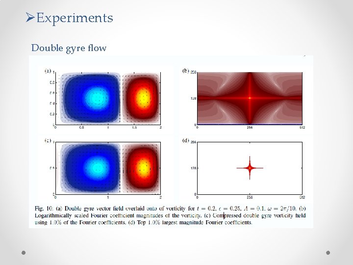 ØExperiments Double gyre flow 