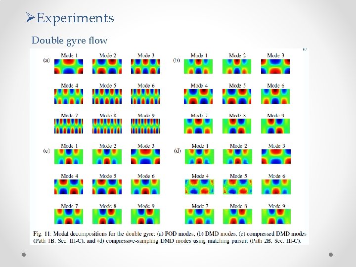 ØExperiments Double gyre flow 