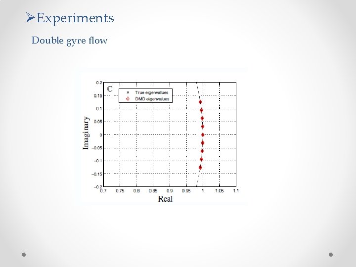ØExperiments Double gyre flow 
