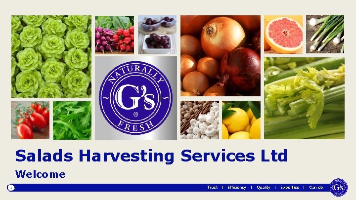 Salads Harvesting Services Ltd Welcome 1 Trust | Efficiency | Quality | Expertise |