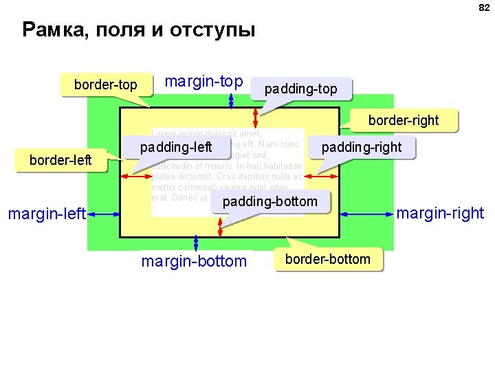 82 Рамка, поля и отступы border-top margin-top padding-top border-right border-left margin-left Lorem ipsum dolor