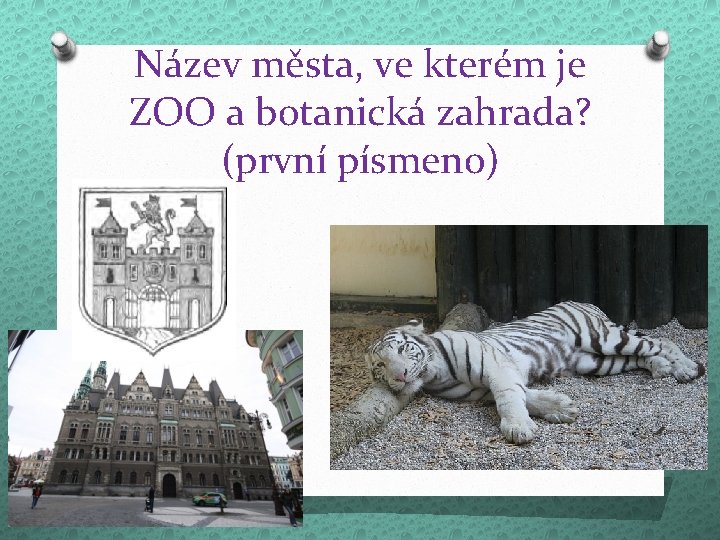 Název města, ve kterém je ZOO a botanická zahrada? (první písmeno) 