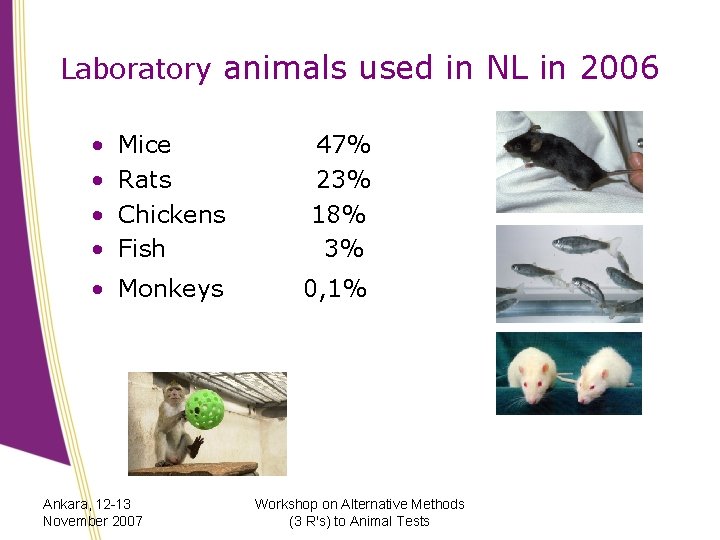 Laboratory animals used in NL in 2006 • • Mice Rats Chickens Fish 47%