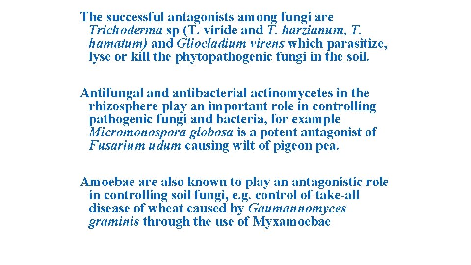 The successful antagonists among fungi are Trichoderma sp (T. viride and T. harzianum, T.