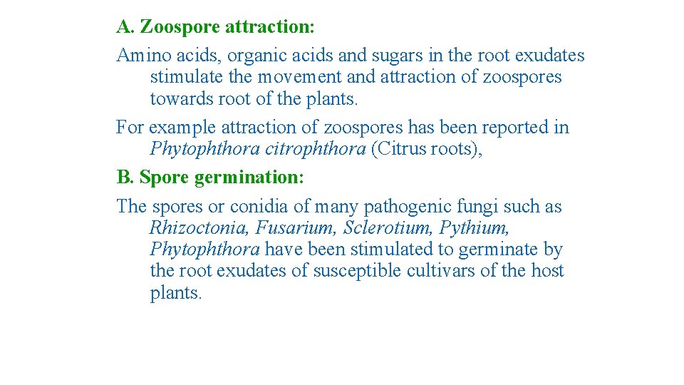 A. Zoospore attraction: Amino acids, organic acids and sugars in the root exudates stimulate