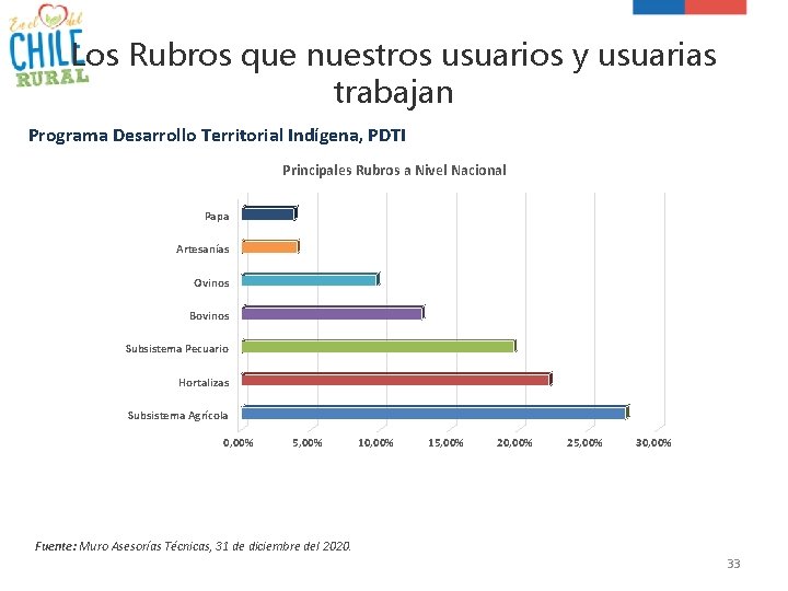 Los Rubros que nuestros usuarios y usuarias trabajan Programa Desarrollo Territorial Indígena, PDTI Principales