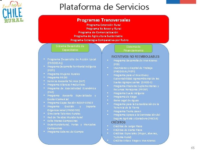 Plataforma de Servicios Programas Transversales Programa Extensión Rural Programa Yo Joven y Rural Programa