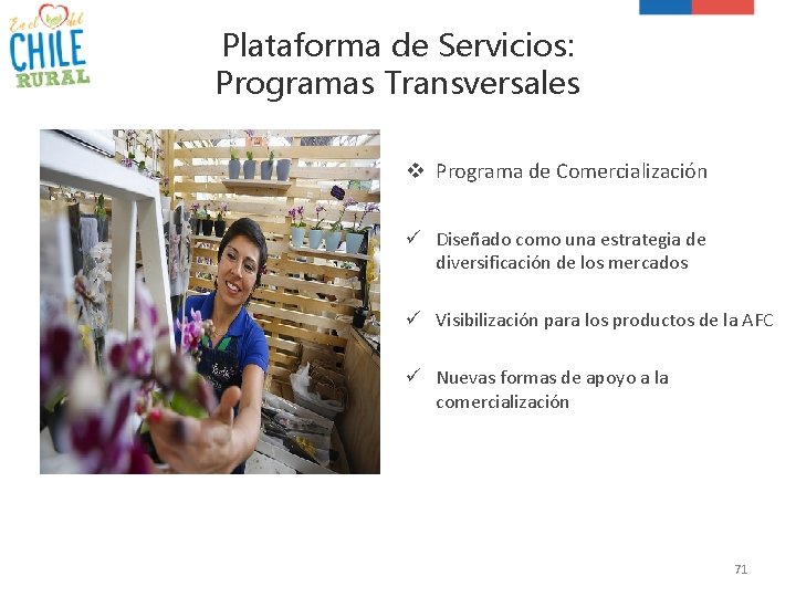 Plataforma de Servicios: Programas Transversales v Programa de Comercialización ü Diseñado como una estrategia