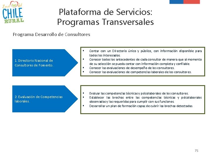 Plataforma de Servicios: Programas Transversales Programa Desarrollo de Consultores § 1. Directorio Nacional de