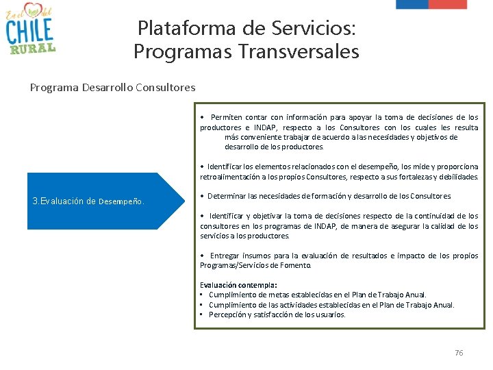 Plataforma de Servicios: Programas Transversales Programa Desarrollo Consultores • Permiten contar con información para