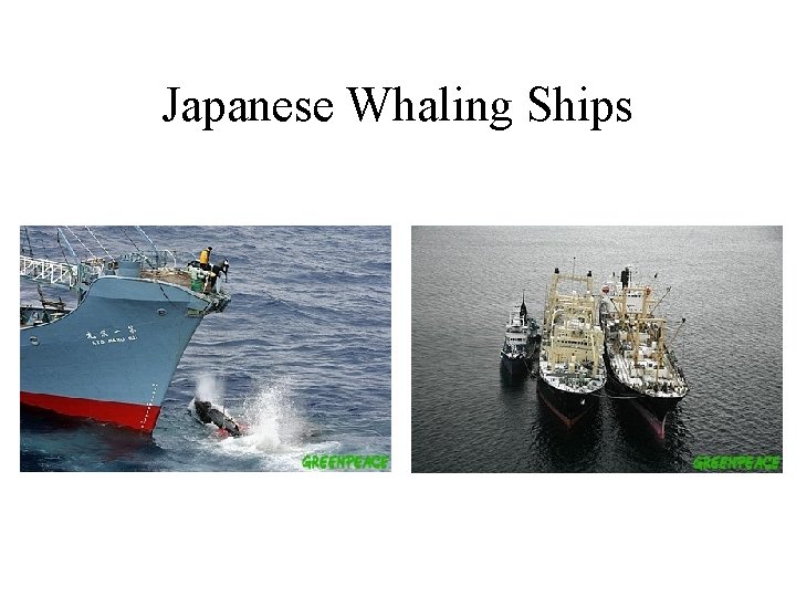 Japanese Whaling Ships 