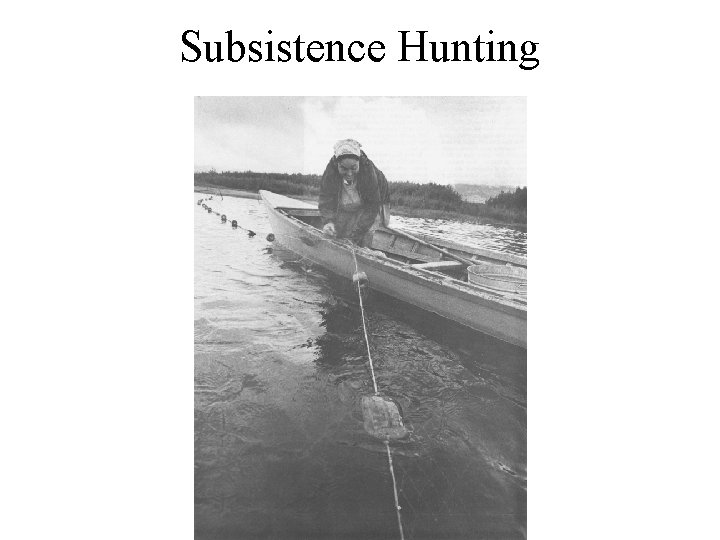 Subsistence Hunting 