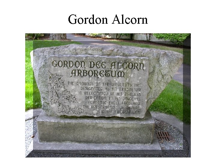 Gordon Alcorn 