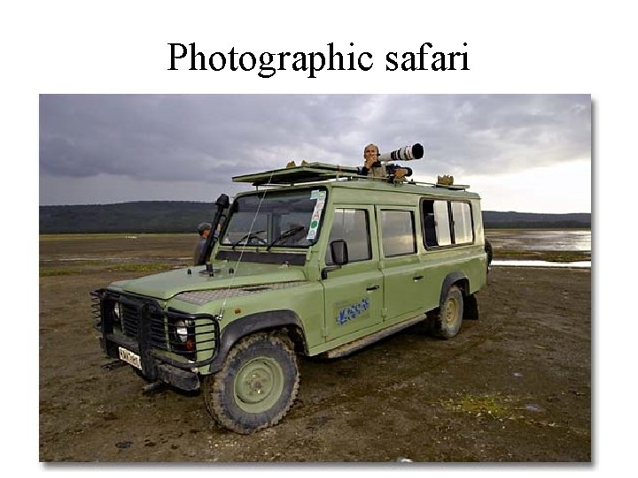 Photographic safari 