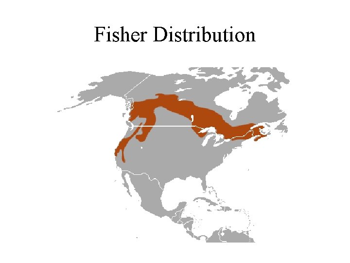 Fisher Distribution 