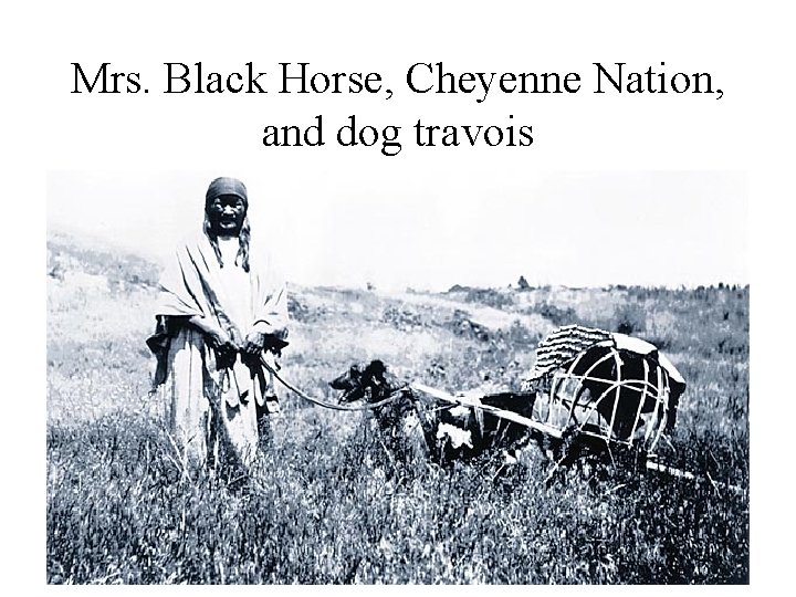 Mrs. Black Horse, Cheyenne Nation, and dog travois 