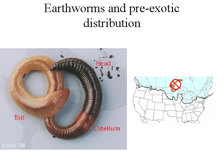 Earthworms and pre-exotic distribution 